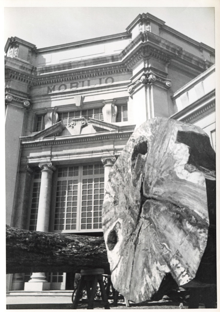 detail image